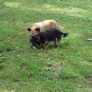 Meet your Posher, Celestine